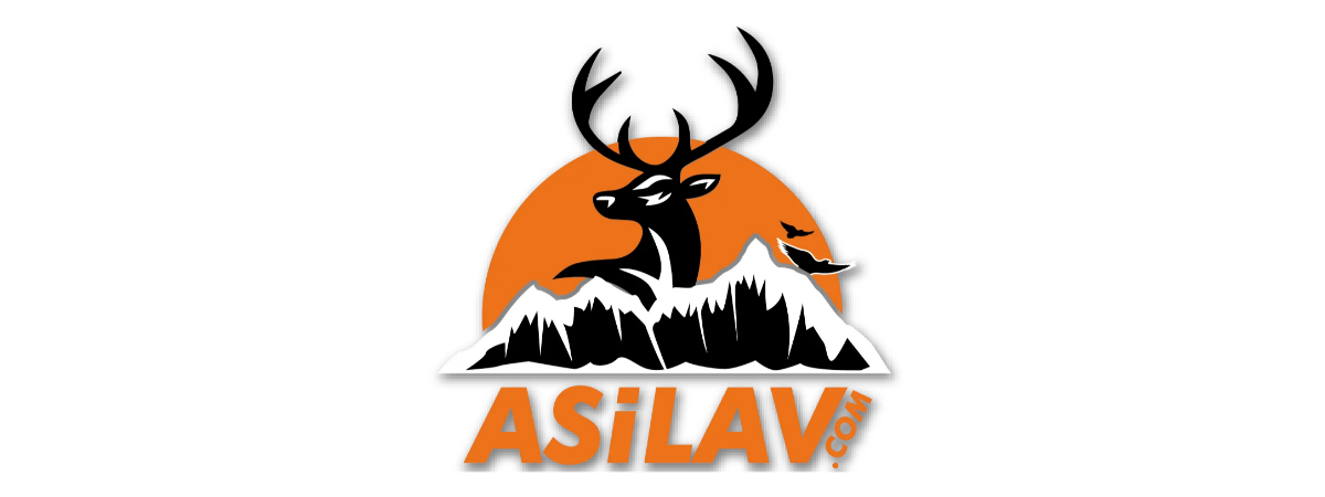 ASİL 